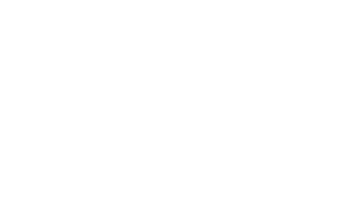 patricia offergeld
